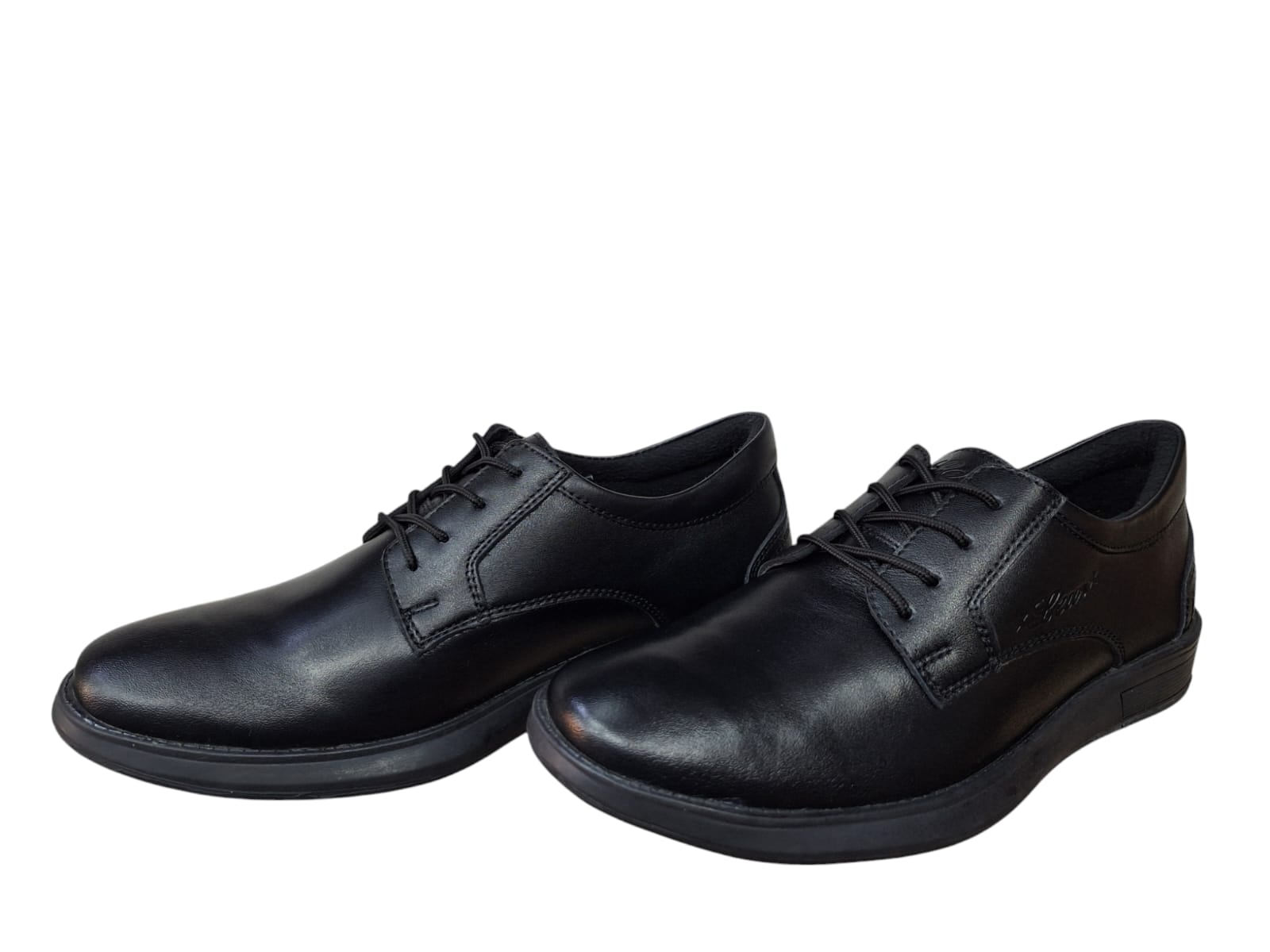 Free html5 bootstrap 4 template